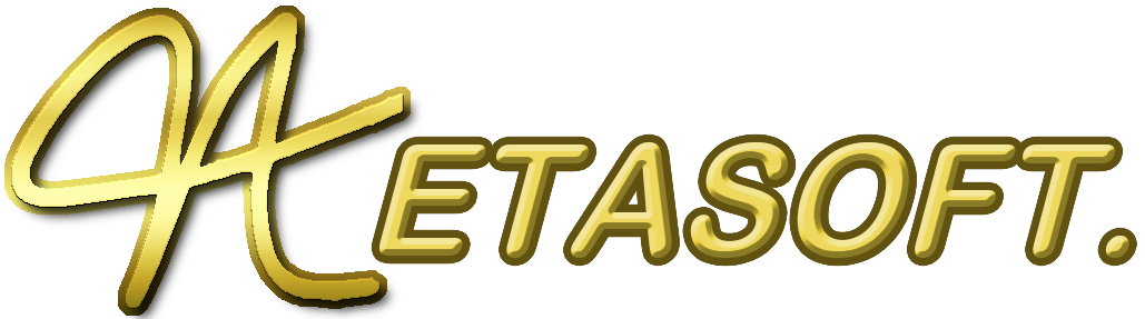 Logo Netasoft